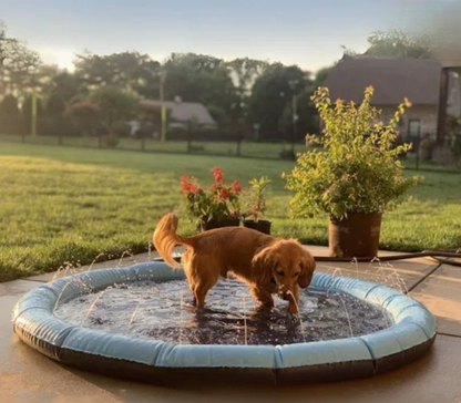 Piscina Refrescante para Mascotas