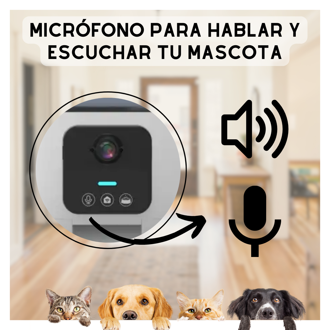 Dispensador de Alimento con Cámara para tu Mascota